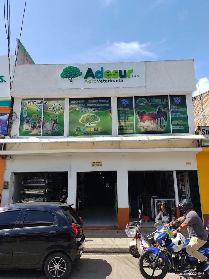 ADESUR SAS