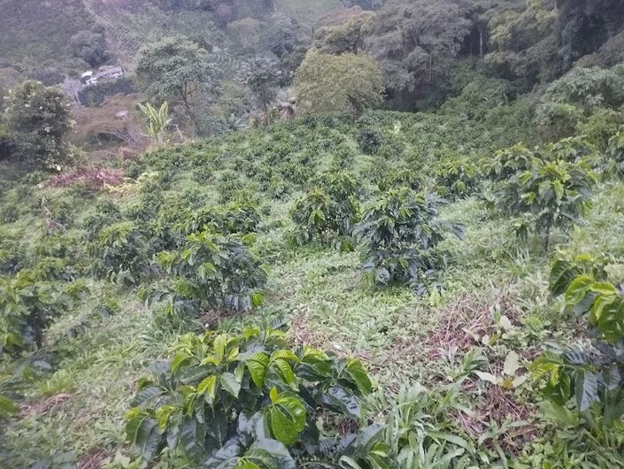 Agricapital