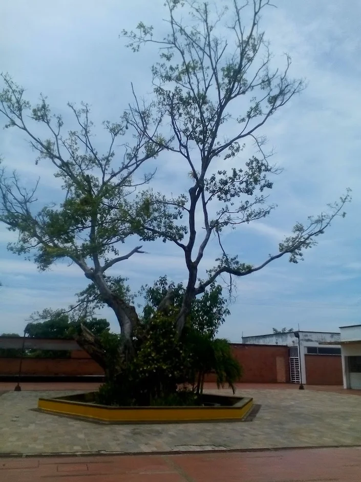 Agro Caucasia