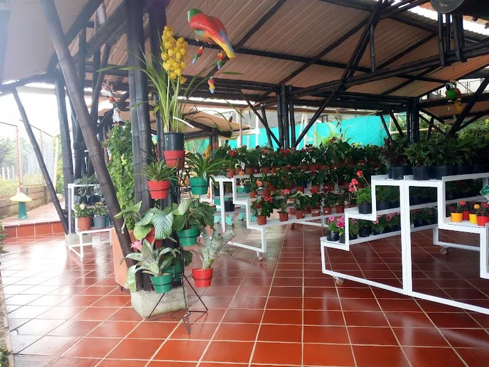 Agro Verdedelhuila