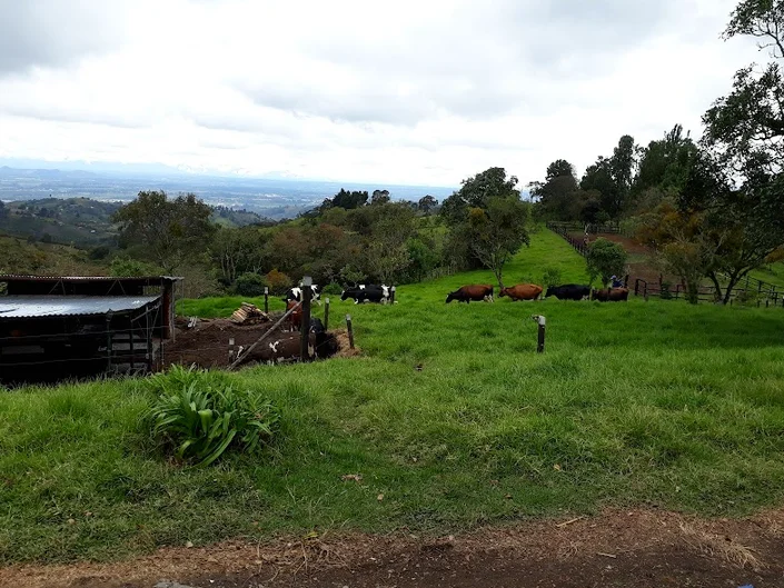 Agropecuaria Los Milagros