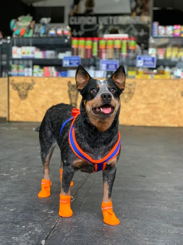 AgroPets