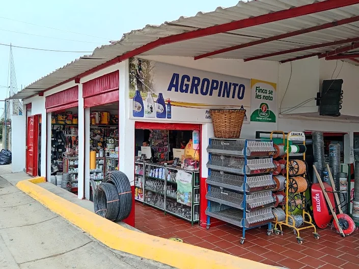 AGROPINTO