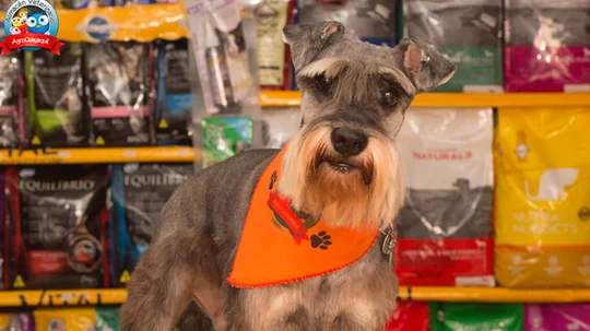 Almacén Veterinaria Agroguayaquil