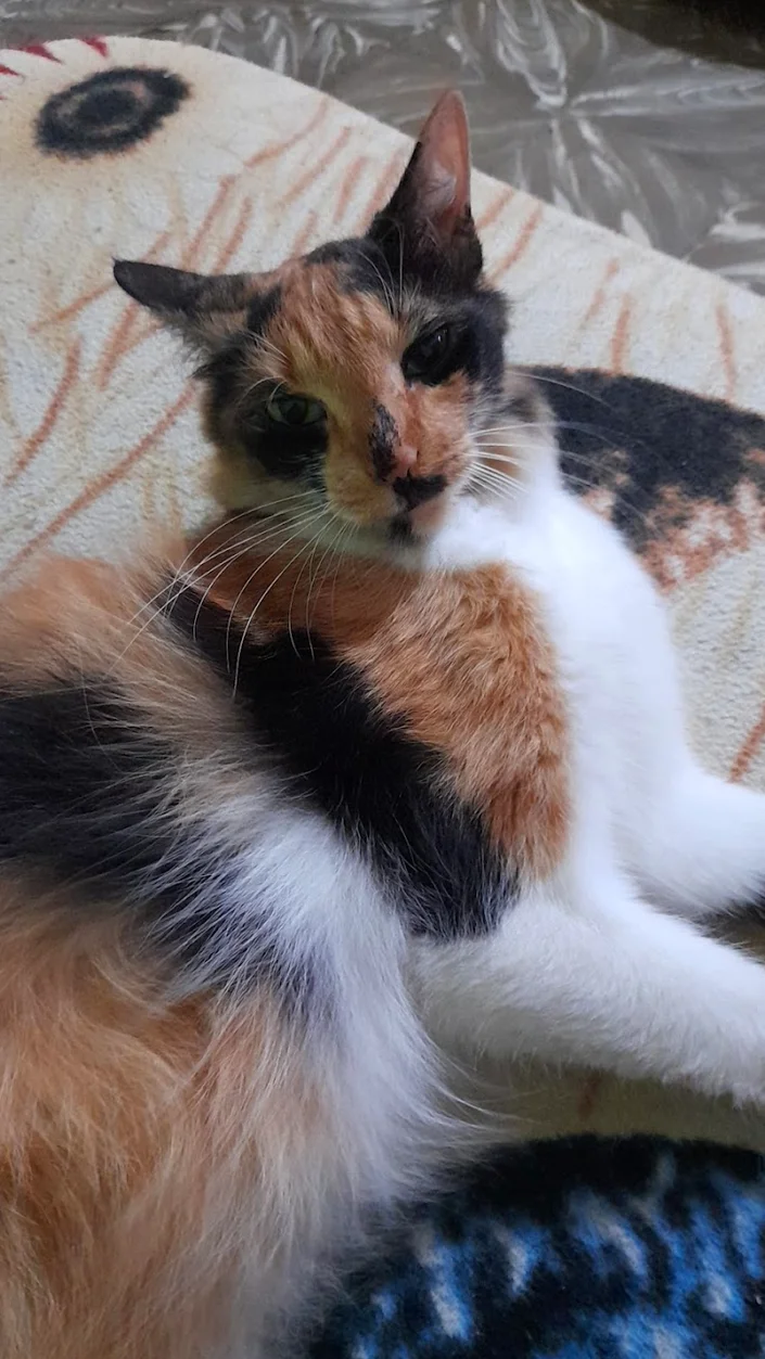 Almacén Veterinaria El Baché