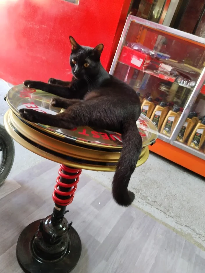 Almacen Veterinario Mi Corral