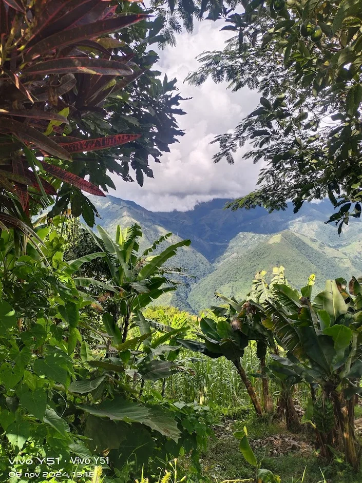 ALTO DEL CORRAL