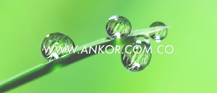 Ankor S.A.S Líder en Colombia en Fertilizantes y Nutrición vegetal