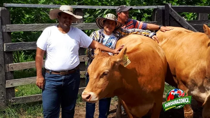 Asociación Agroamazónica