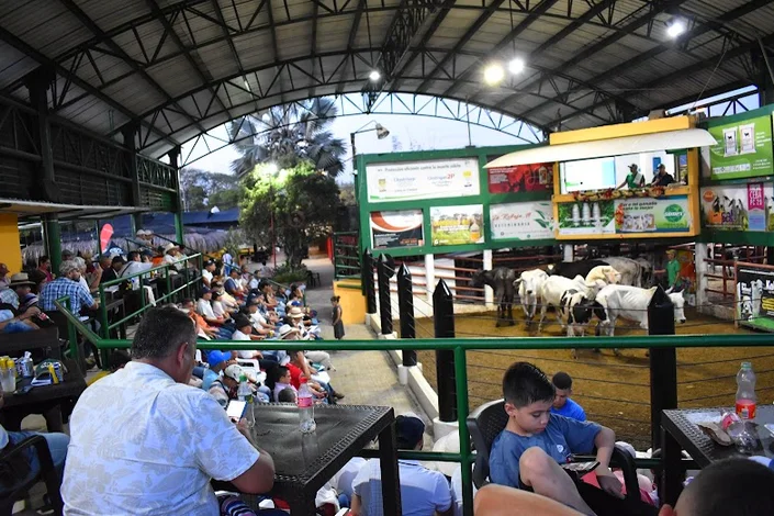 ASOREGAN Asociación Regional de Ganaderos de Puerto Boyacá | Subasta de Ganado
