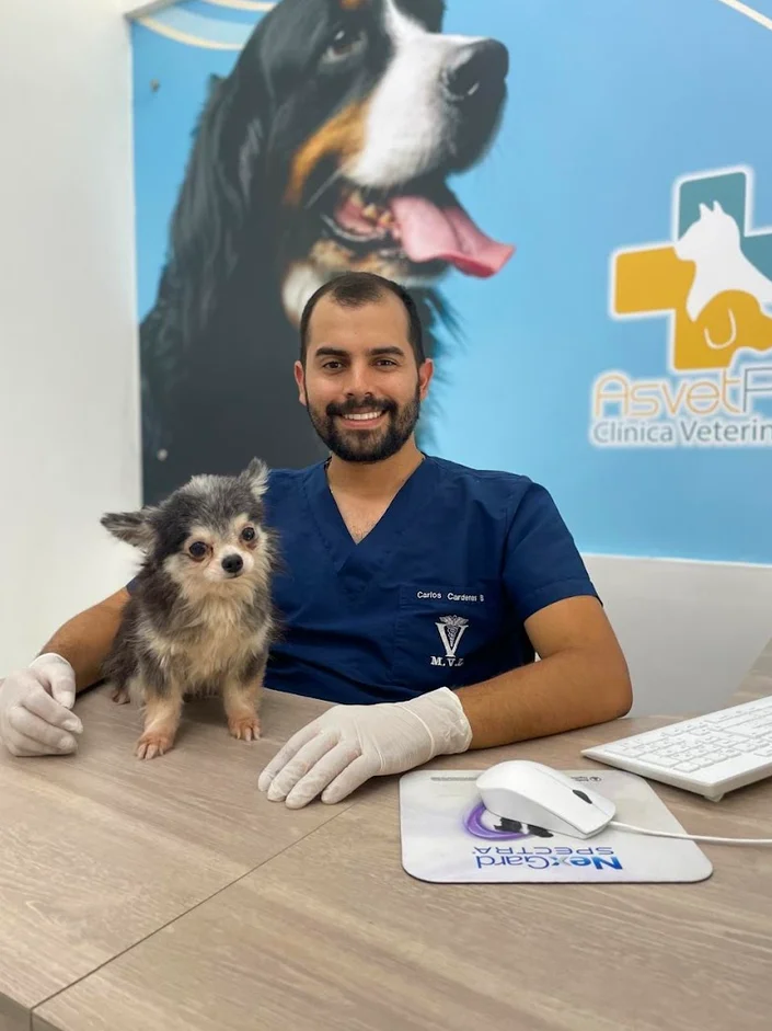 Asvet Clínica veterinaria