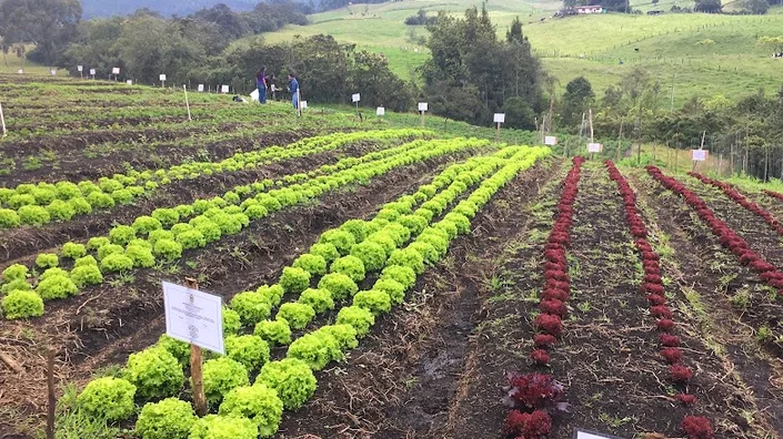 CENTRO AGROAMBIENTAL EL VERGEL