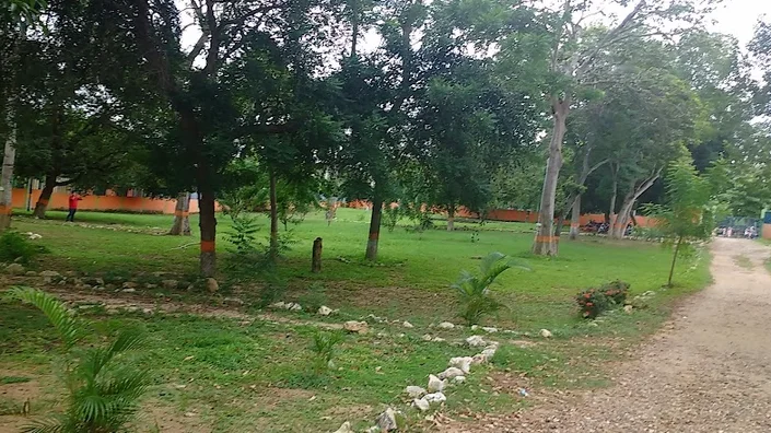 Centro para el Desarrollo Agroecologico y Agroindustrial