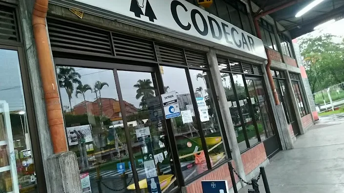 Codegar