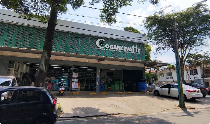 COGANCEVALLE