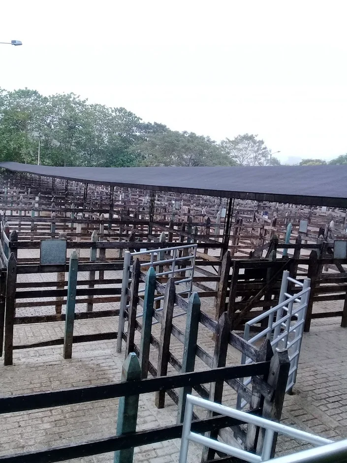 Cogasucre S.A