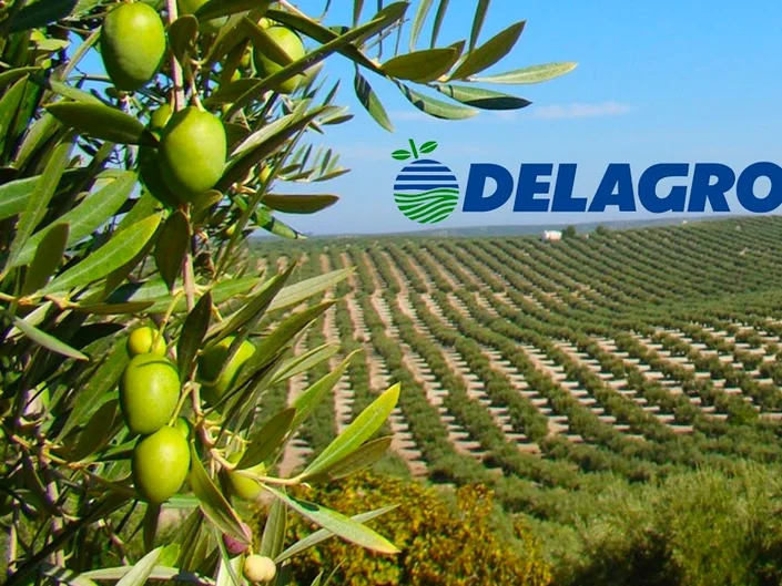 Delagro Ibagué