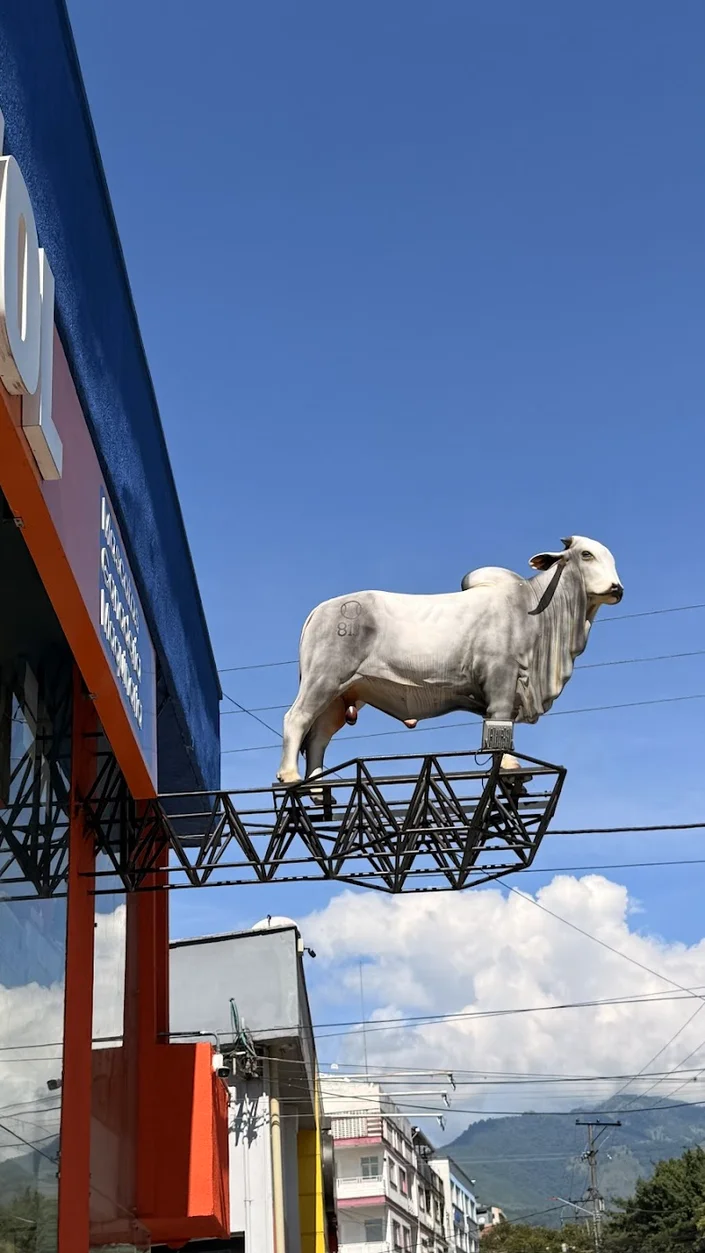 Diagrotol Veterinaria donde está el Toro