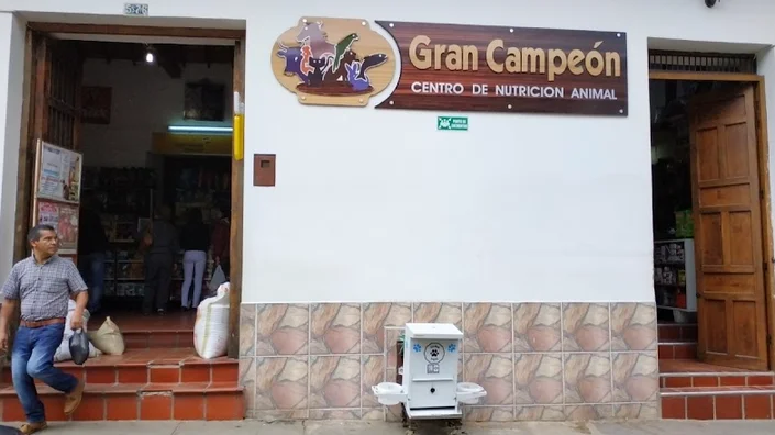 Gran Campeon