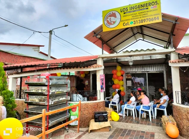 Los INGENIERO’S Consultoría y Comercialización