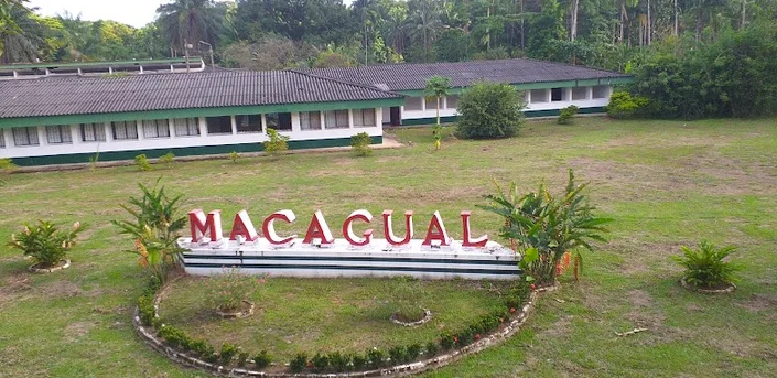 Macagual UNIAMAZONIA