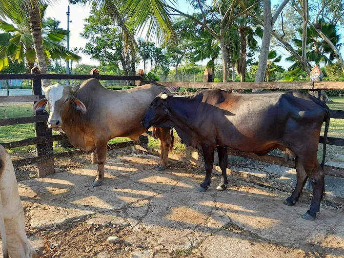 MAXIAGRO DE LA COSTA