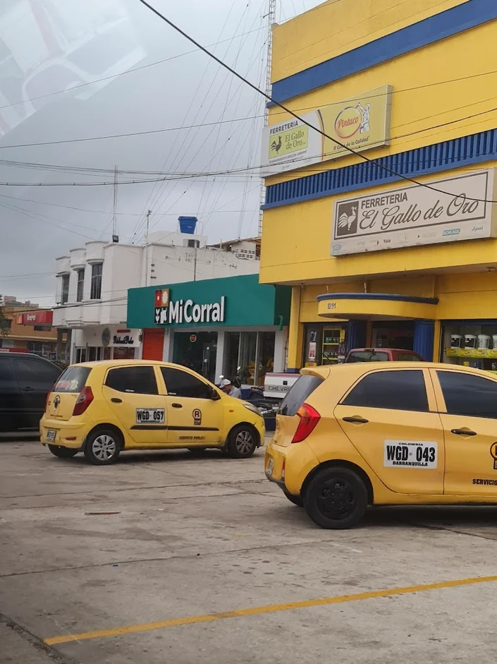 Mi Corral 43