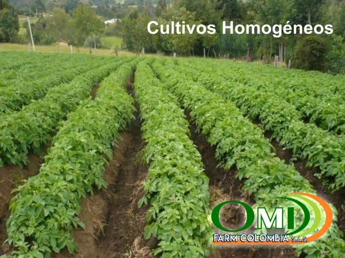 OMI FARM COLOMBIA