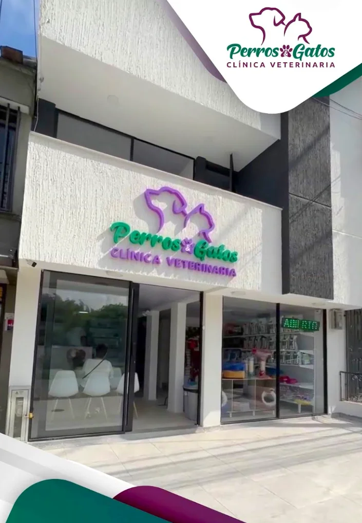 Perros y Gatos Clínica Veterinaria Veterinaria dosquebradas