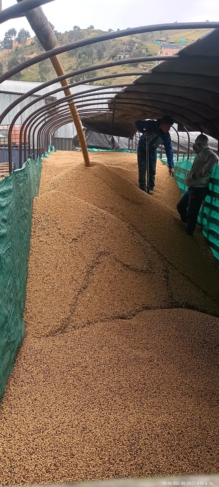 Planta Hacienda Facatativá