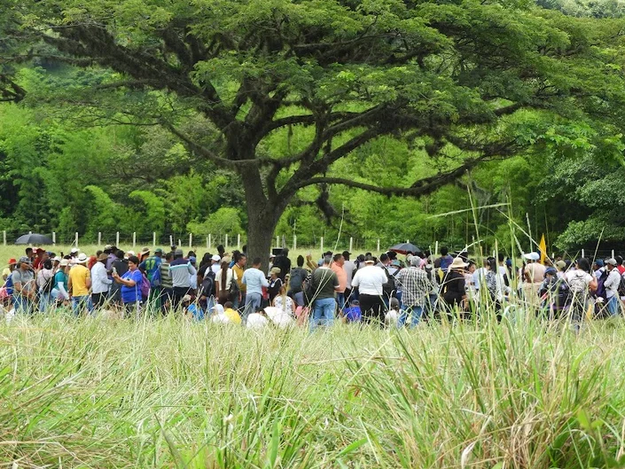 Proyecto Agroindustrial Edén