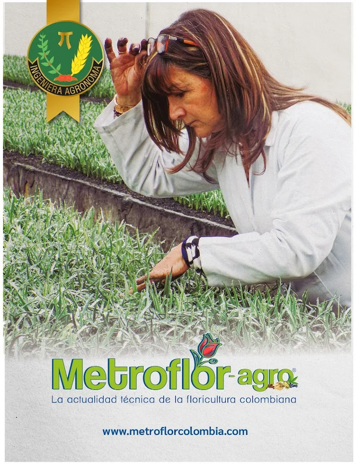 Revista Metroflor