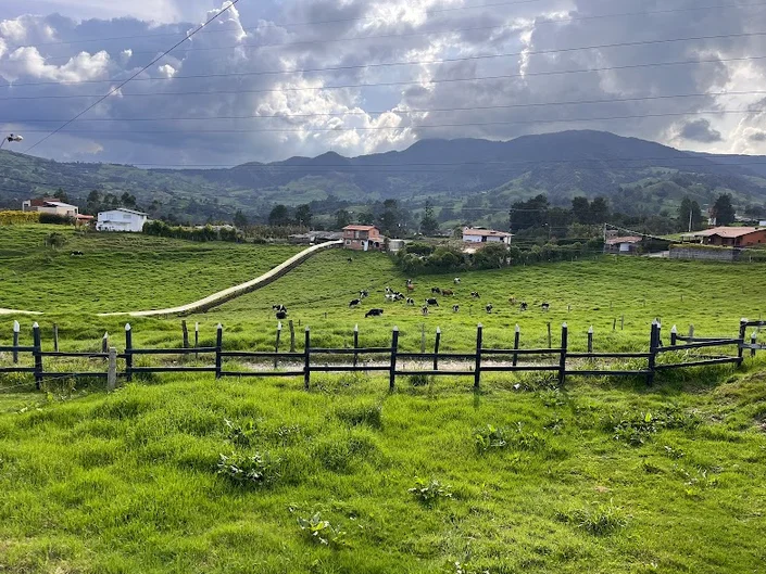 RM Agroinversiones SAS