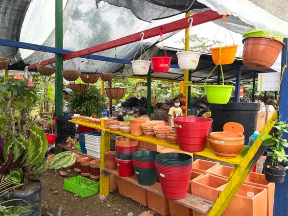 Vivero del Chocó