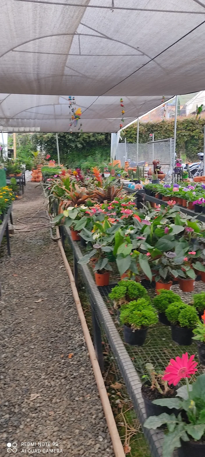 Vivero Tierra Viva